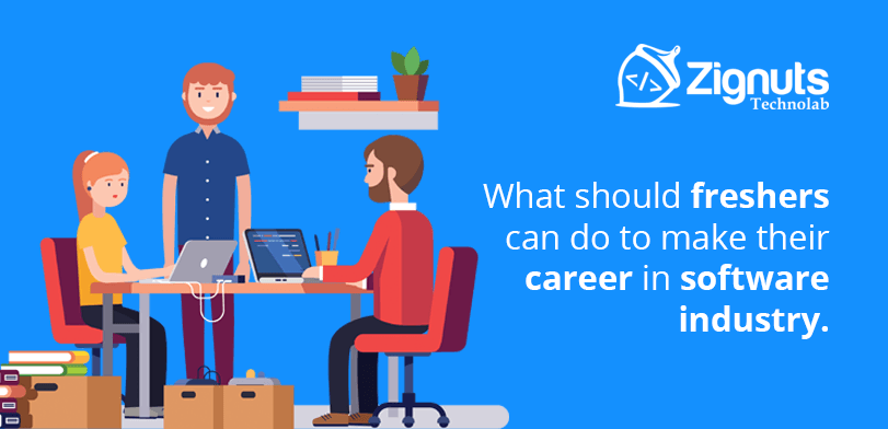 What should freshers can do to make their career in software industry